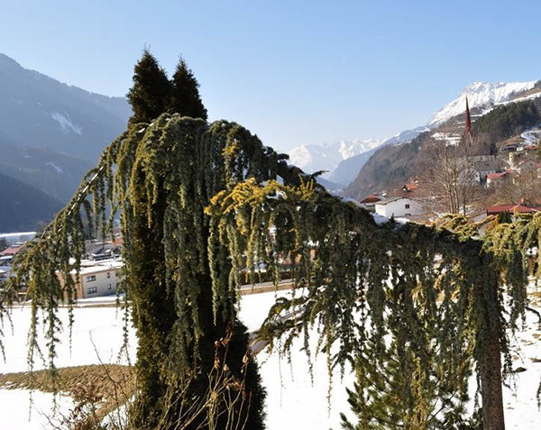 winter-2